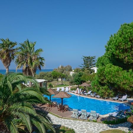 Alkyoni Beach Hotel Naxos City Exterior foto